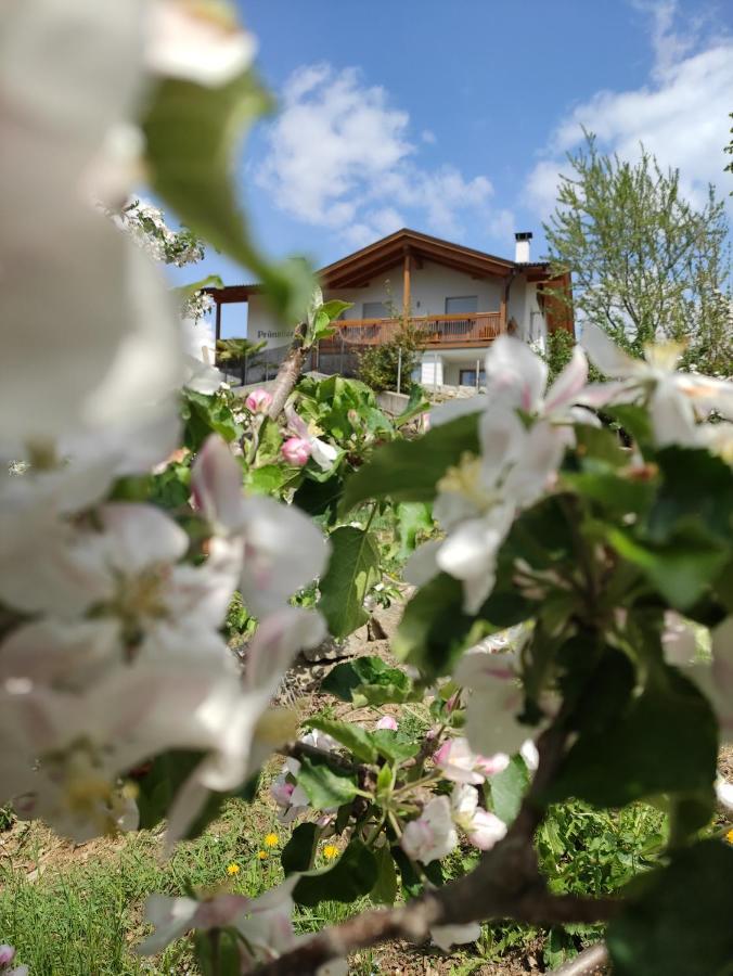 Pruensterhof Schenna Apartamento Exterior foto
