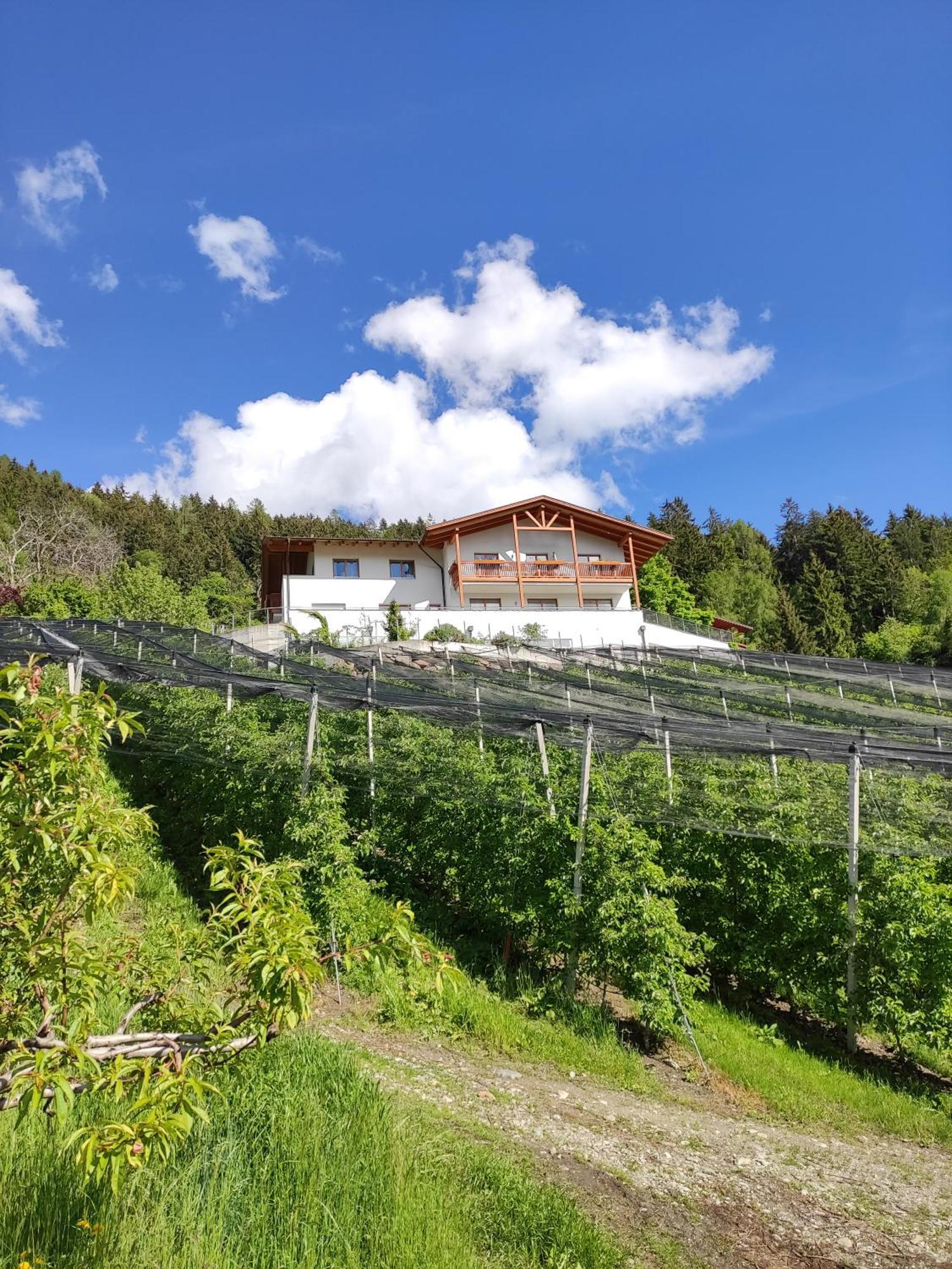 Pruensterhof Schenna Apartamento Exterior foto